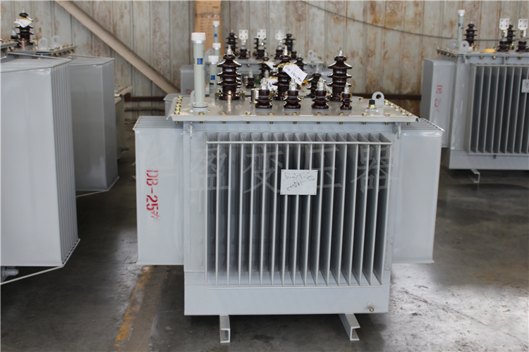 德阳S20-800kVA/10kV/0.4kV变压器